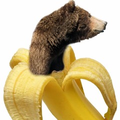 Bye Banana (live)