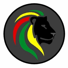 Heavy Tingz - KingLionZ