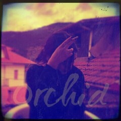 ΠΑΡΑΓΟΝΤΑΣ 405 - ΠΑΡΑΜΙΛΩΝΤΑΣ