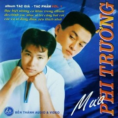 Mưa Phi Trường - Lam Trường