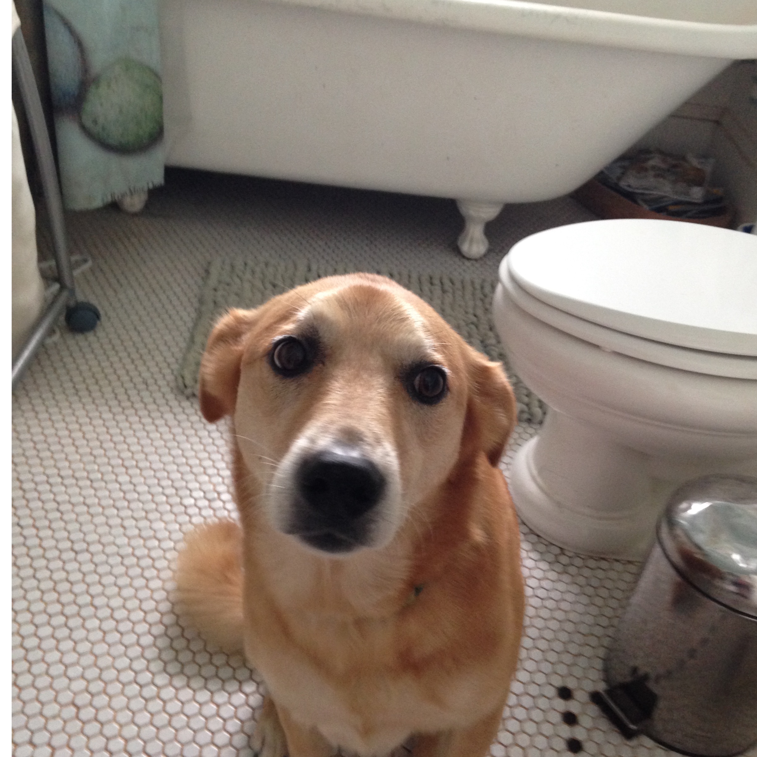 There Will Be Tears – Frank Ocean