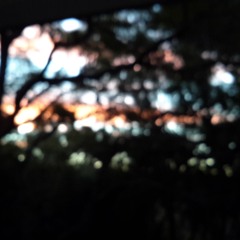 Smells Like Teen Spirit - Cover