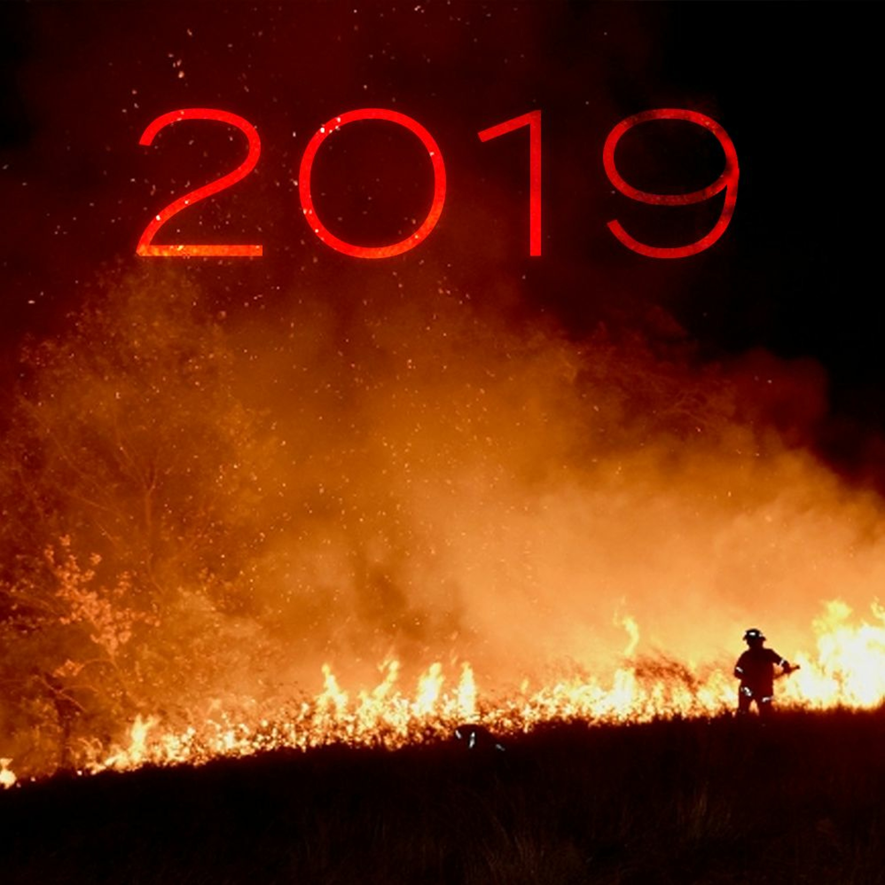 The Year in Sound