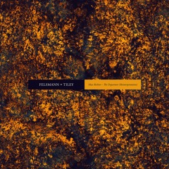 Max Richter - The Departure (Felsmann & Tiley Reinterpretation)