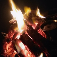 The President Of Brazil - Icey Ace - D2019