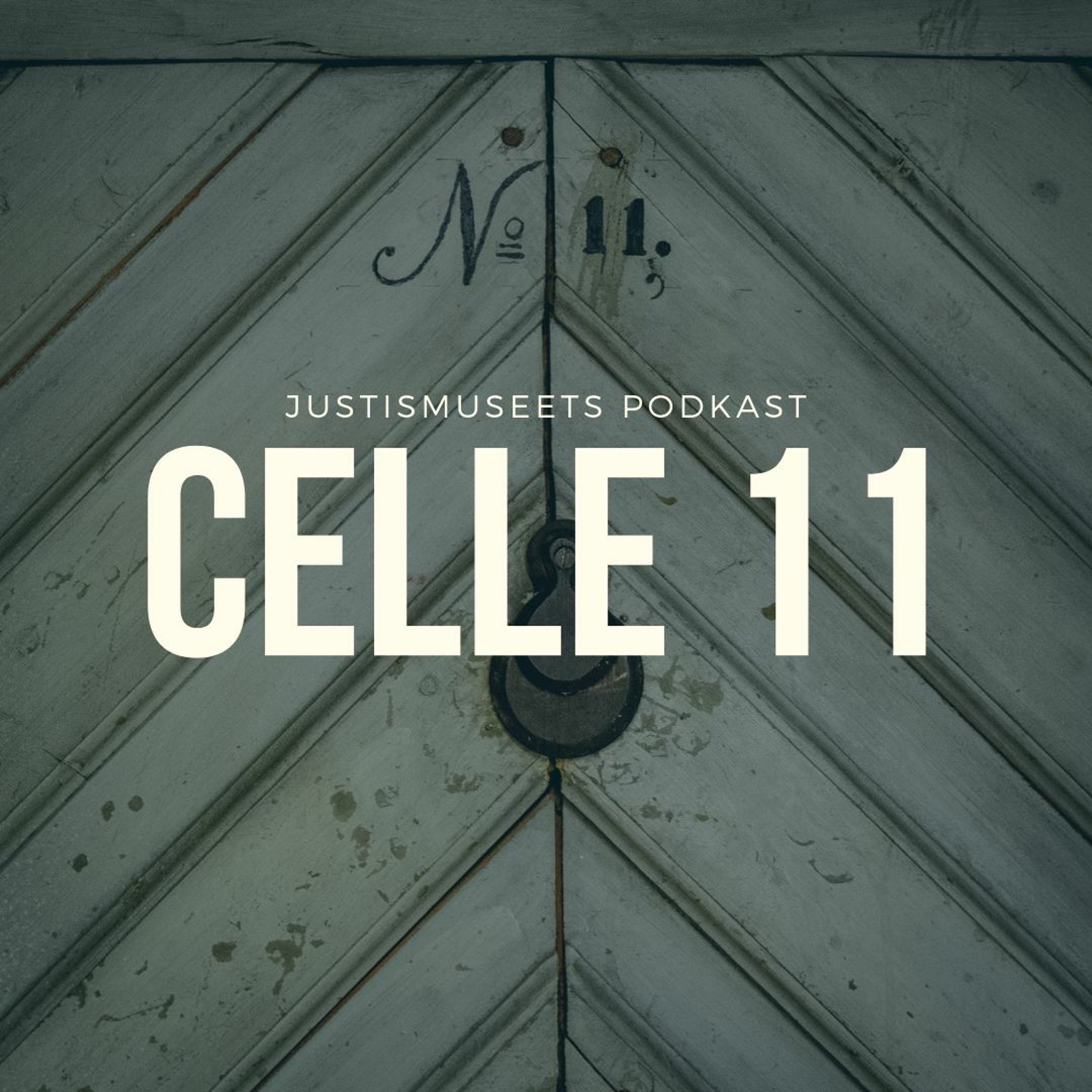 Celle 11