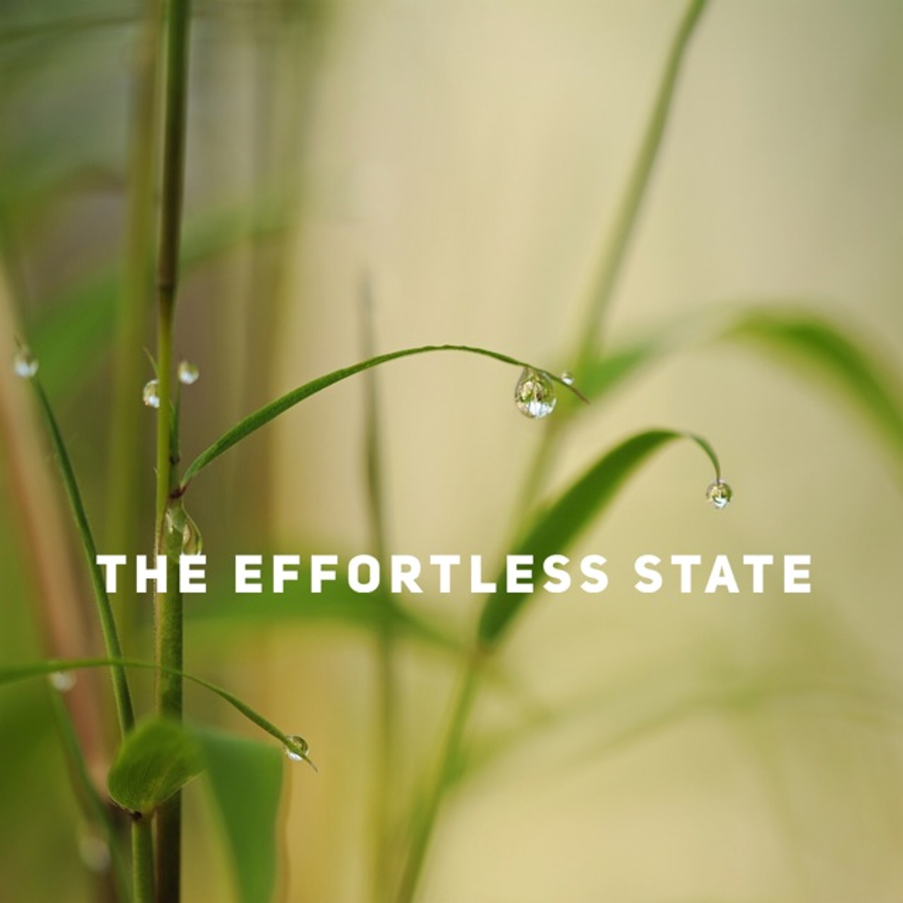 The Effortless State episode artwork