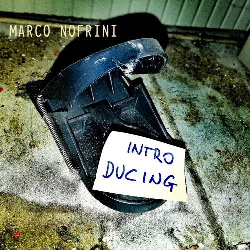INTRO DUCING