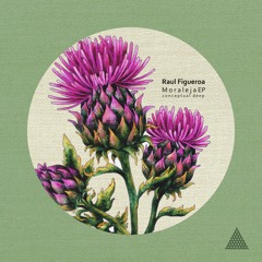 Raul Figueroa - What About [Conceptual Deep] Preview