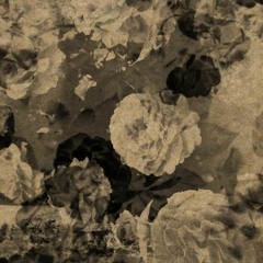 Edith Kirkyne - Apophenia EP