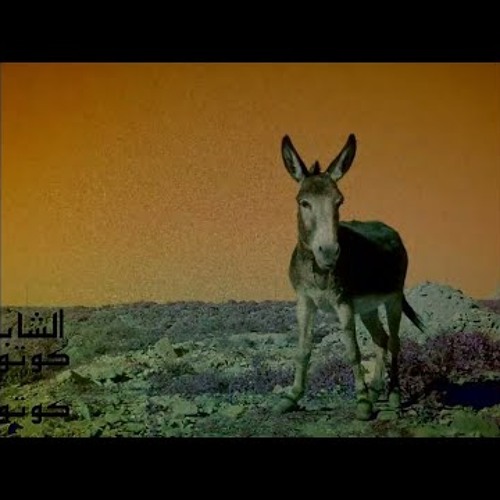 C H E B - T R A S H - كوتوكوتو
