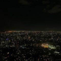 내가 저지른 사랑