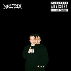 danyaplug - whippin