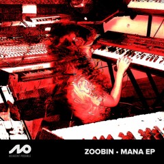Zoobin - Tehran 5 AM