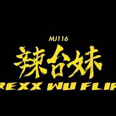 顽童 MJ116 - 辣台妹 Rexx Wu Remix