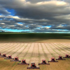 Capitalism and Climate Breakdown with Gareth Dale