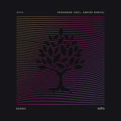 Premiere: ARTN - Passenger [Sidra]