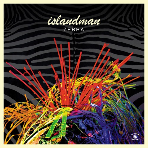 islandman - Zebra - s0371