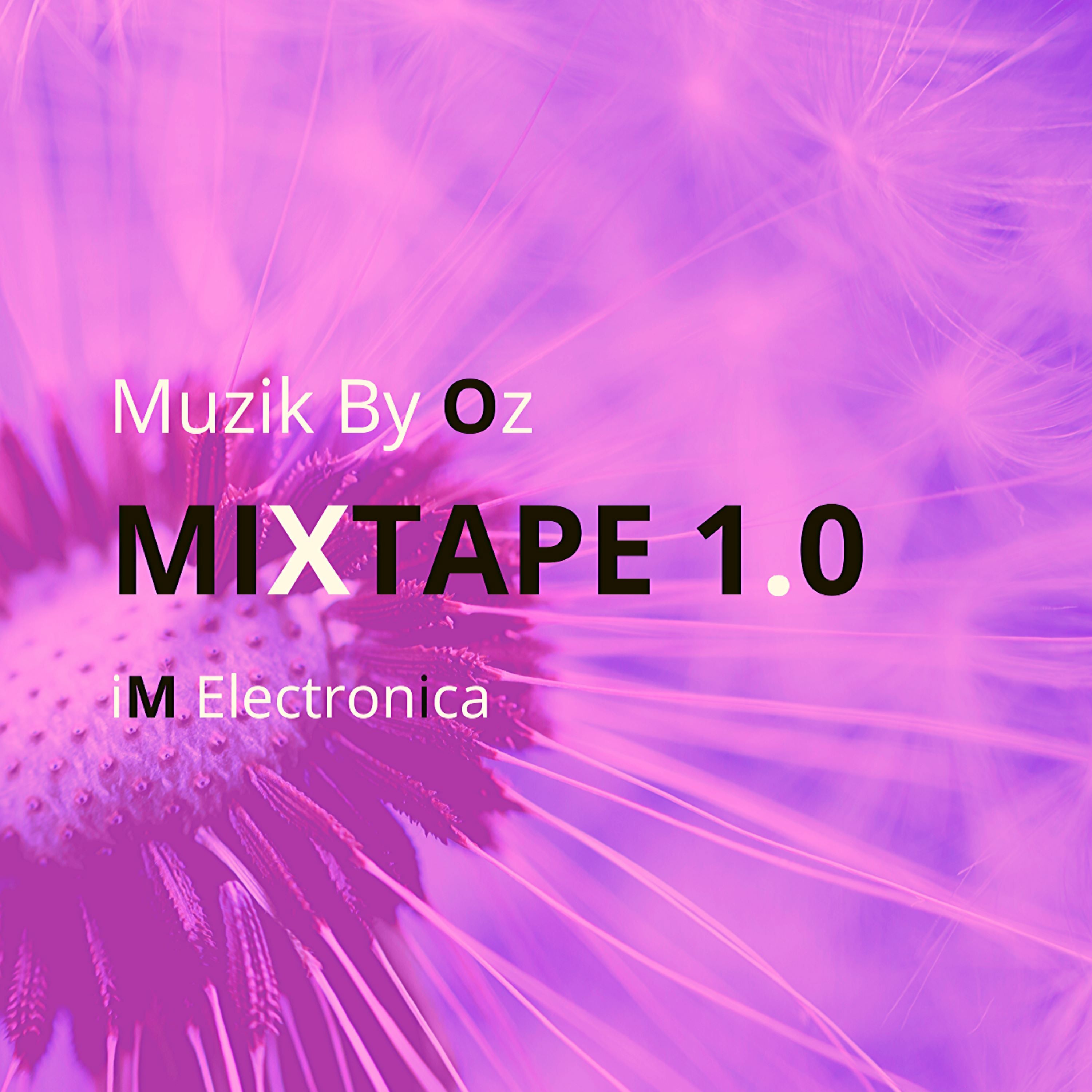 [Original Edition] MiXtape 1.0 By Muzik By Oz [iM Electronica] episode artwork