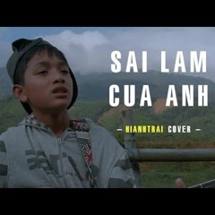 SAI LẦM CỦA ANH - Đình Dũng || #Hianhtrai Cover