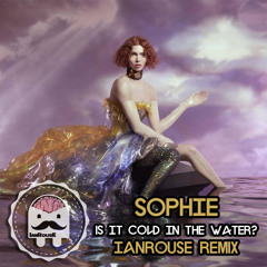 SOPHIE - Is It Cold In The Water (IanRouse Remix)