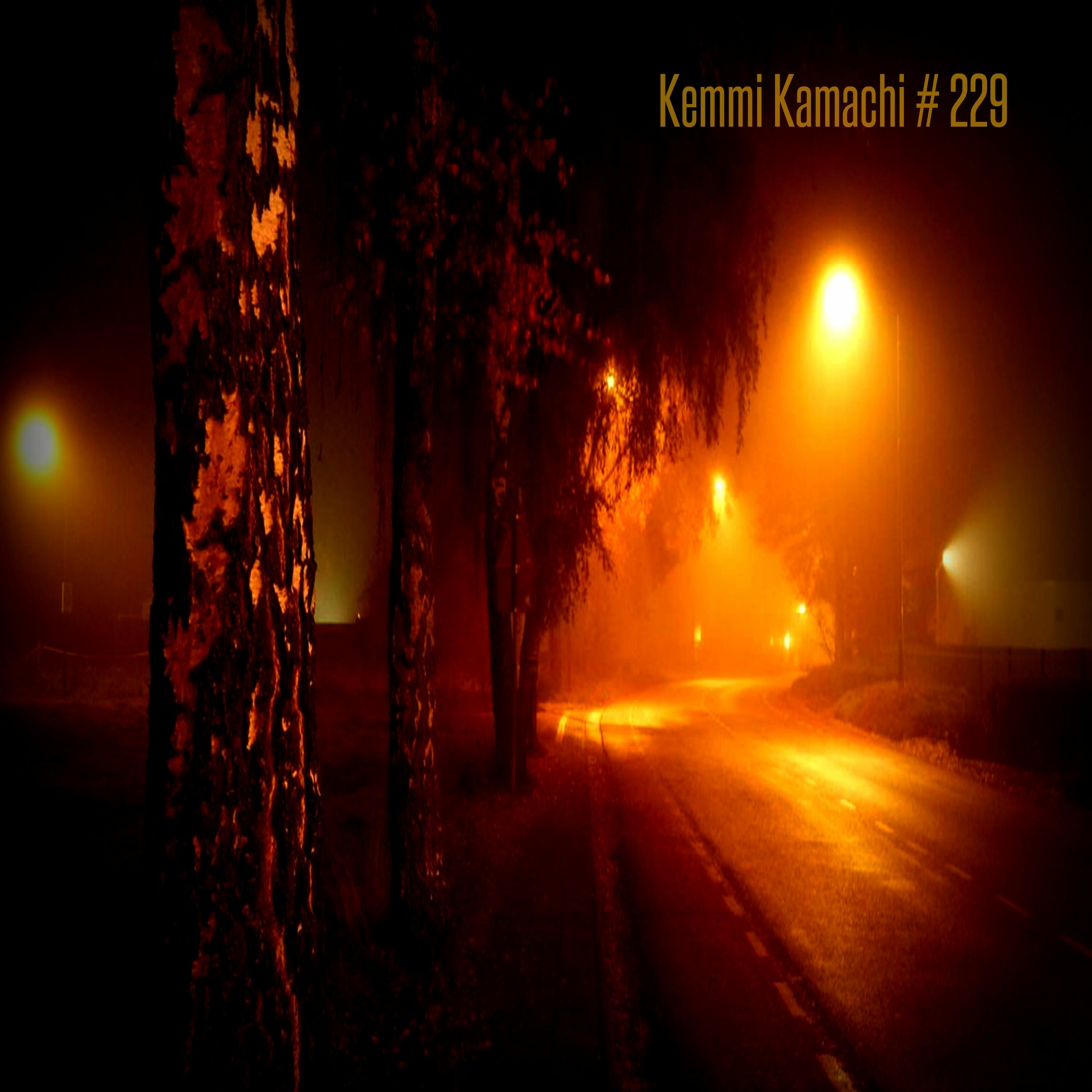 Kemmi Kamachi