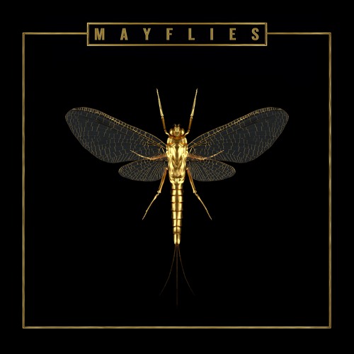 The Bergamot - Mayflies