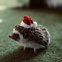 I’ll Be Home For Christmas