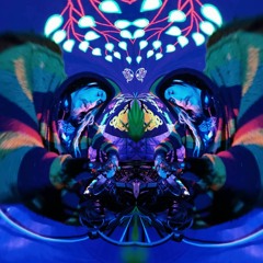 Ovnicius Live Set @ Emotions 2019 [ WHOMP N VIBES ]