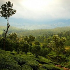 12. Orelsan - Si Facile Remix ft. Totoro