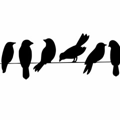 Kunterweiß - Alle Vögel Sind Schon Da