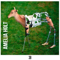 Mix 38 - Amelia Holt