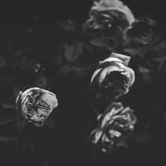 Cotchi - I gave you everything, there's nothing left to give