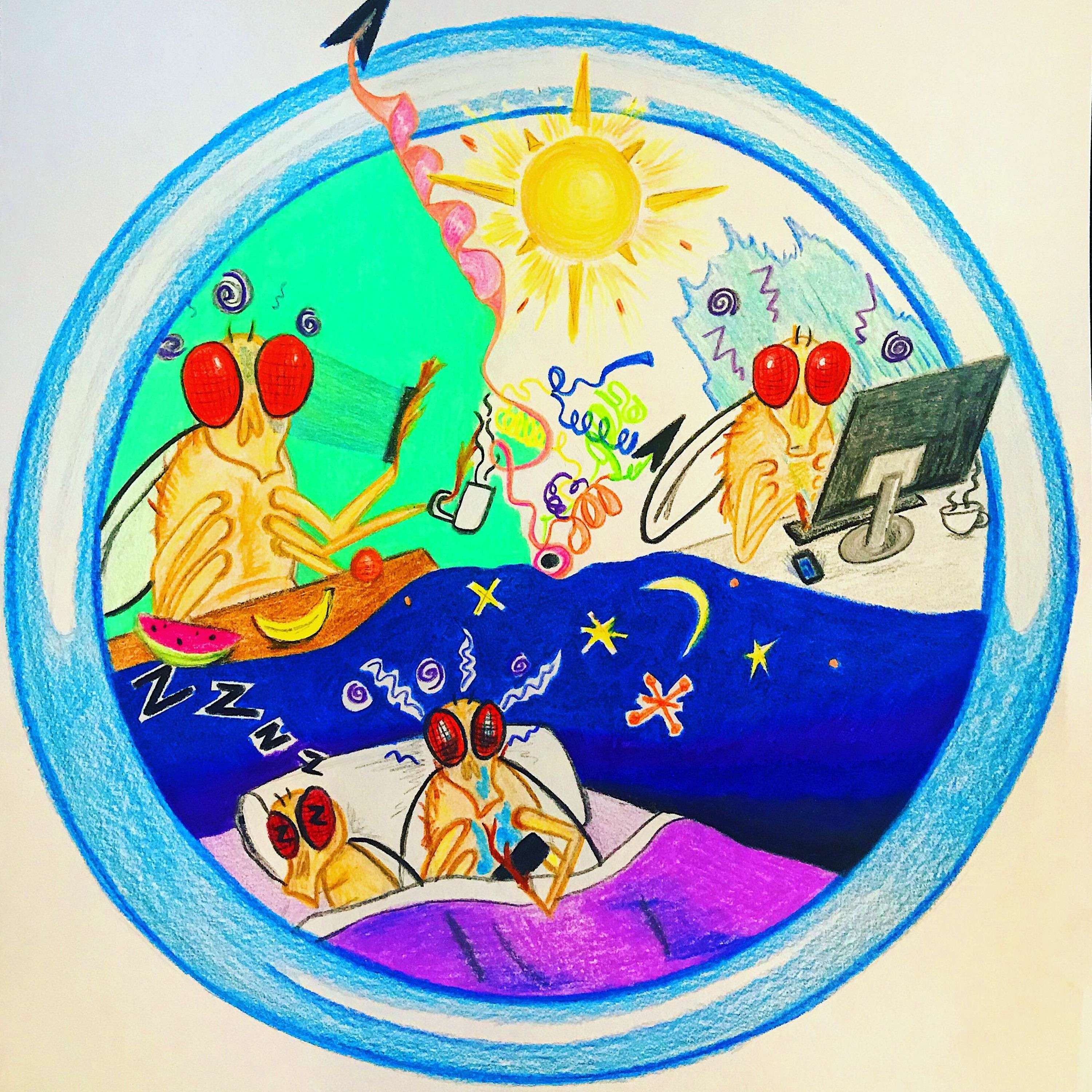 RadioBio