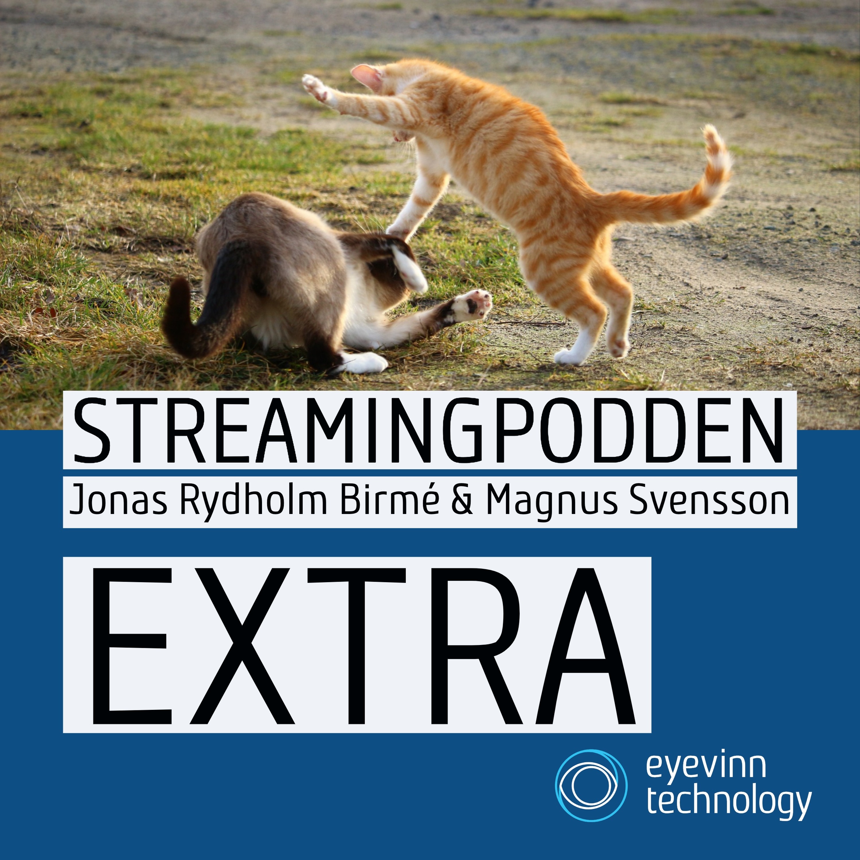 Streamingpodden