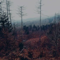 Melancholy