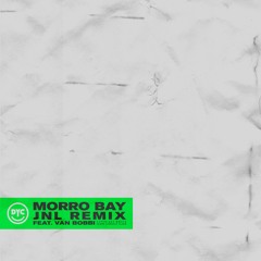 Dance Yourself Clean & Van Bobbi - Morro Bay (JNL Remix)