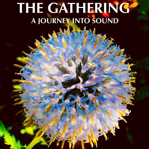 The Gathering Interviews- Akua Kariamu