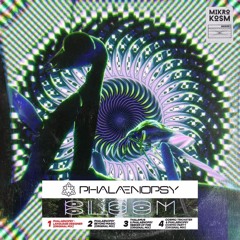Phalaenopsy - Language Designer (Original Mix)