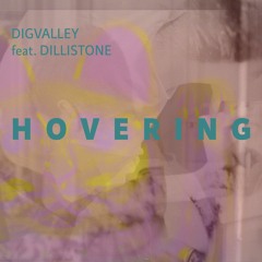 Hovering (feat. Dillistone)