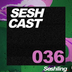 SESHCAST 036: Snicklefritz