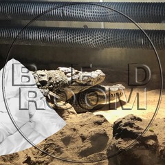 BEDROOM Mixtape 05 / BOYIDK