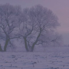 BTS - Trivia: Seesaw Wonderland Ver.