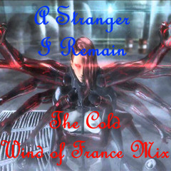 A Stranger I Remain (The Cold Wind of France Mix)