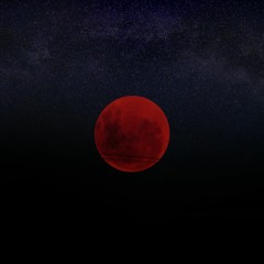 Telli.Trapphones- The Mutiny