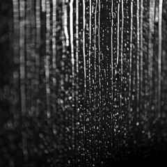 Rain Collections (2019)