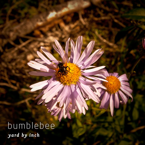 line down (spline remix)