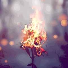 Crash N Burn  (prod. NextLane)