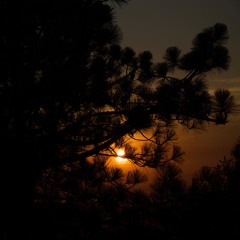 Karma(feat. rafwayne) Prod. Midnight K