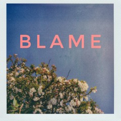 B.L.A.M.E